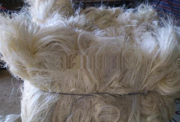 Sisal Fibre